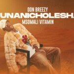 Don-Breezy-Ft-Msomali-–-Unanicholesha