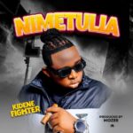 Kidene-Fighter-Nimetulia